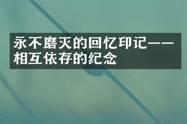 永不磨灭的回忆印记&mdash;&mdash;相互依存的