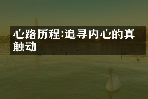 心路:追寻内心的真实触动