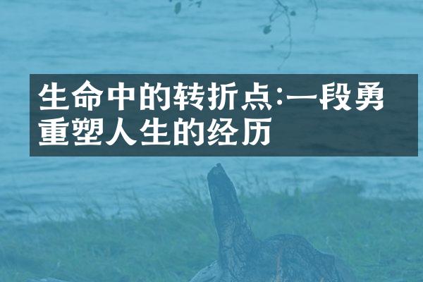生命中的转折点:一段勇敢重塑人生的经历