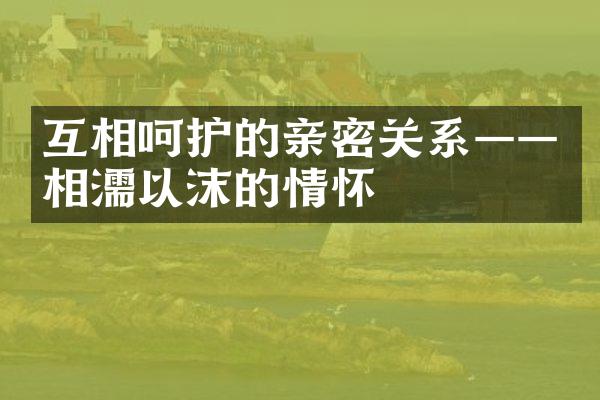 互相呵护的亲密关系——相濡以沫的情怀