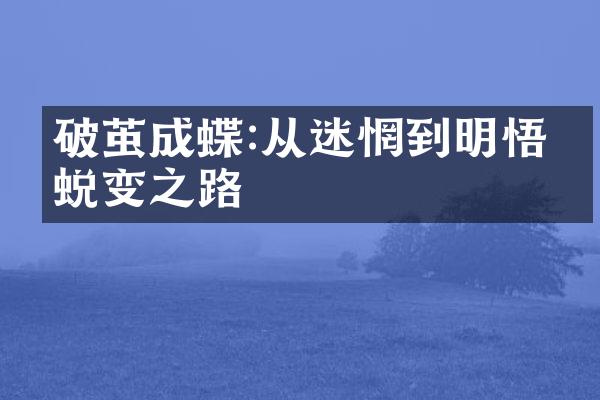 破茧成蝶:从迷惘到明悟的蜕变之路
