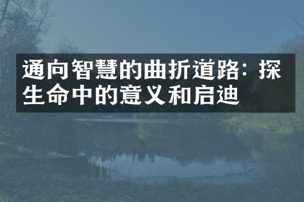 通向智慧的曲折道路: 探寻生命中的意义和启迪