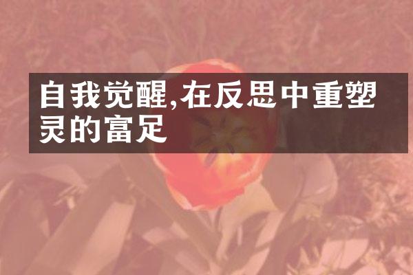 自我觉醒,在反思中重塑心灵的富足
