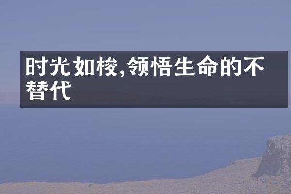 时光如梭,领悟生命的不可替代