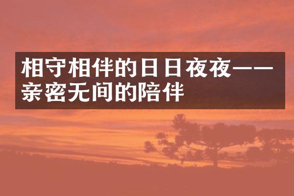 相守相伴的日日夜夜&mdash;&mdash;亲密无间的陪伴
