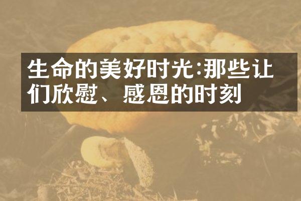 生命的美好时光:那些让我们欣慰、感恩的时刻