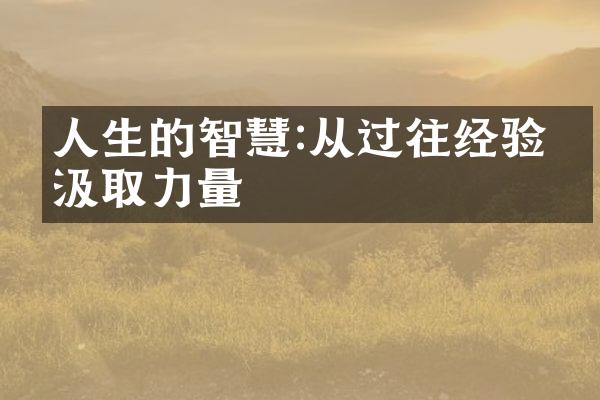 人生的智慧:从过往经验中汲取力量