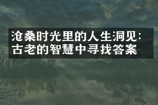 沧桑时光里的人生洞见: 从古老的智慧中寻找答案