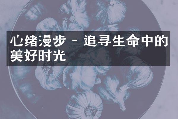 心绪漫步 - 追寻生命中的美好时光
