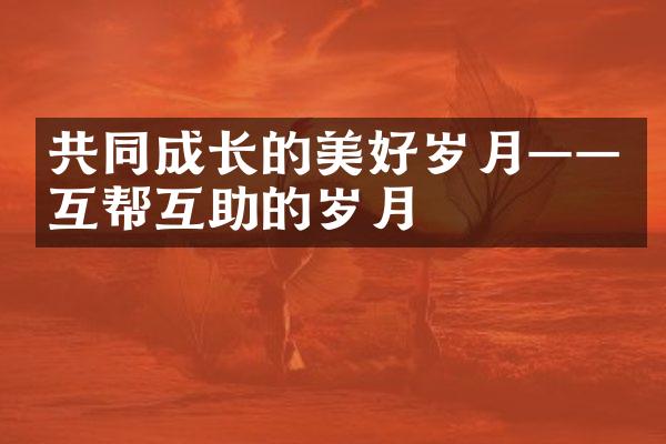 共同成长的美好岁月——互帮互助的岁月