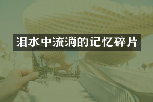 泪水中流淌的记忆碎片