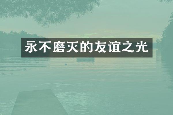 永不磨灭的友谊之光