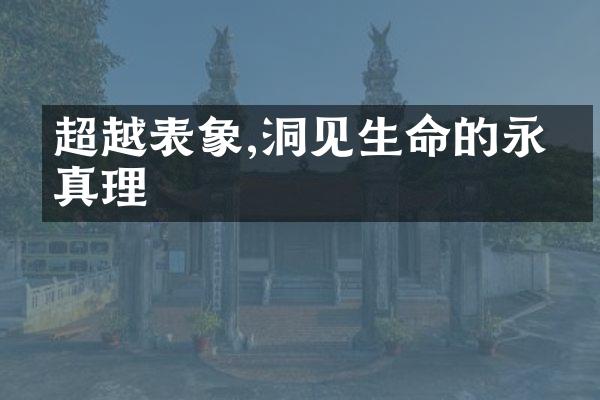 超越表象,洞见生命的永恒真理