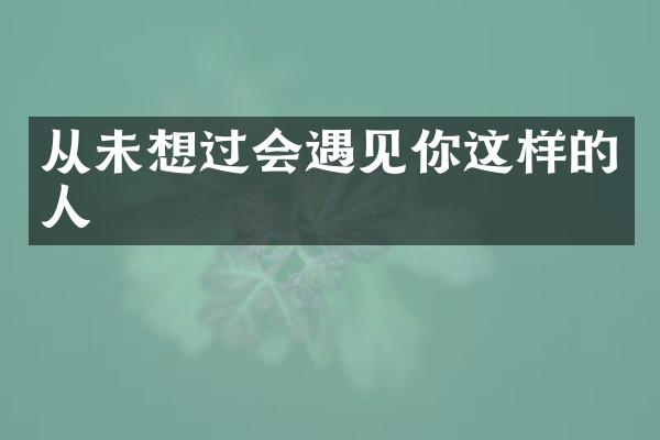 从未想过会遇见你这样的人