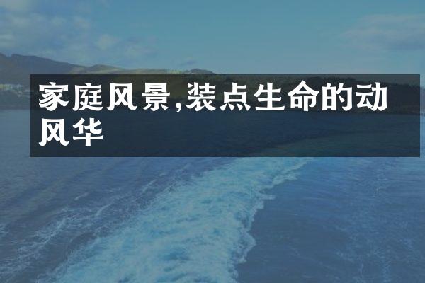 家庭风景,装点生命的动人风华