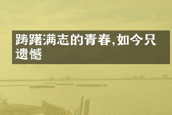 踌躇满志的青春,如今只剩遗憾