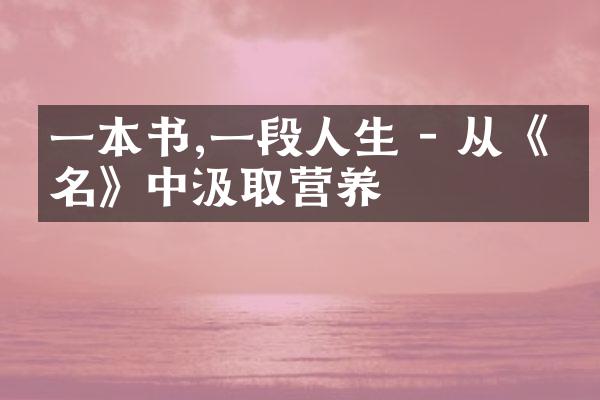 一本书,一段人生 - 从《书名》中汲取营养