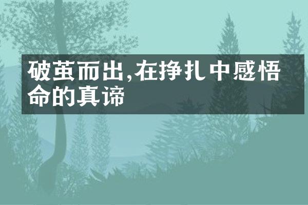 破茧而出,在挣扎中感悟生命的真谛