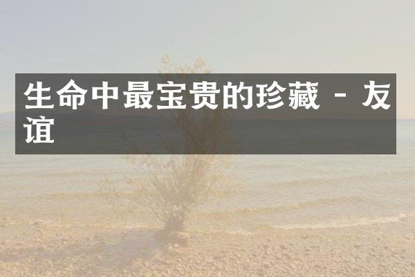 生命中最宝贵的珍藏 - 友谊