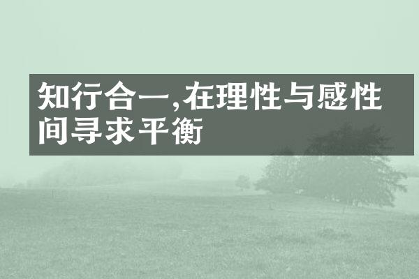 知行合一,在理性与感性之间寻求平衡