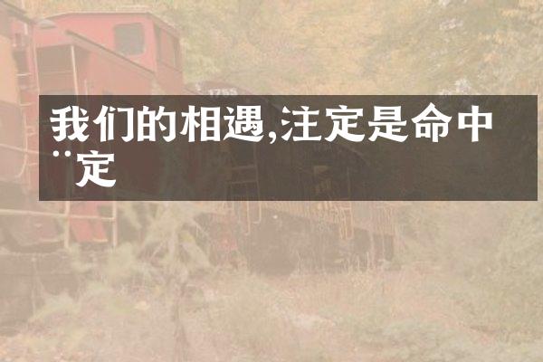 我们的相遇,注定是命中注定