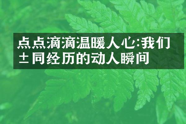 点点滴滴温暖人心:我们共同经历的动人瞬间