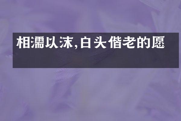 相濡以沫,白头偕老的愿景