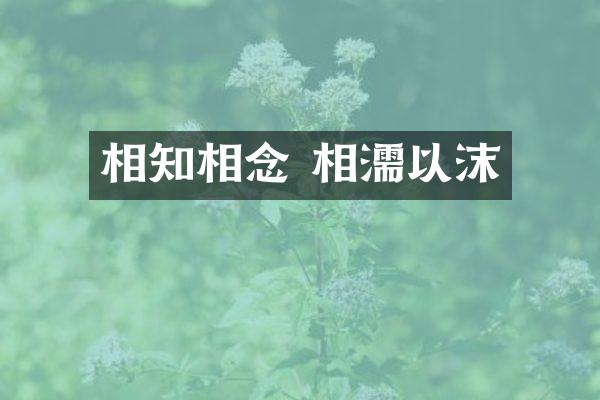 相知相念 相濡以沫