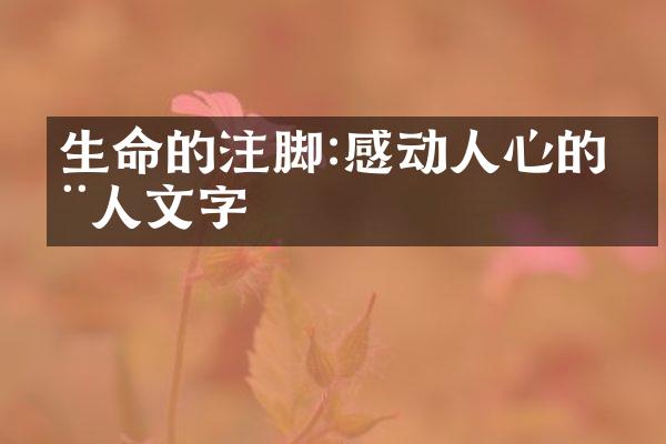 生命的注脚:感动人心的动人文字