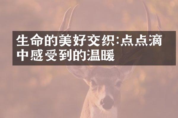 生命的美好交织:点点滴滴中感受到的温暖