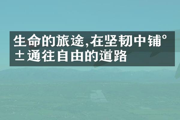 生命的旅途,在坚韧中铺就通往自由的道路