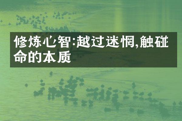 修炼心智:越过迷惘,触碰生命的本质