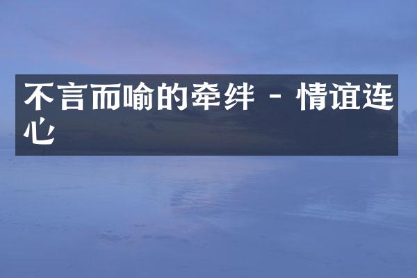 不言而喻的牵绊 - 情谊连心