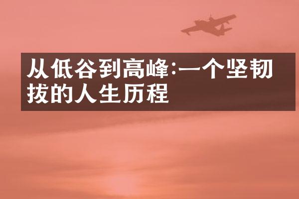 从低谷到高峰:一个坚韧不拔的人生
