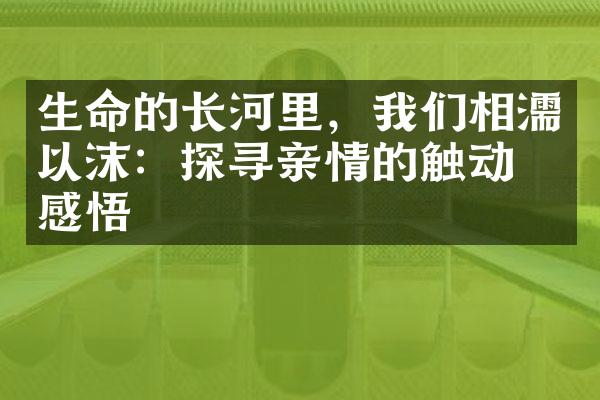 生命的长河里，我们相濡以沫：探寻亲情的触动与感悟