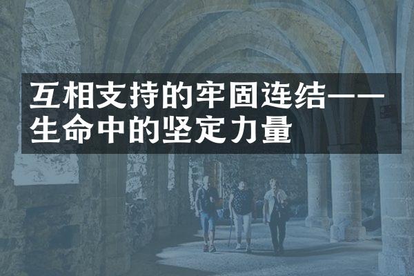 互相支持的牢固连结——生命中的坚定力量