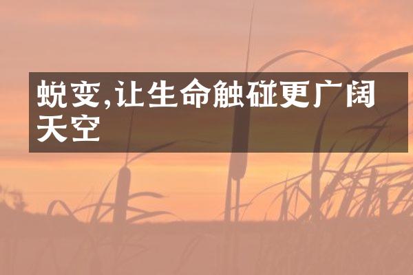 蜕变,让生命触碰更广阔的天空