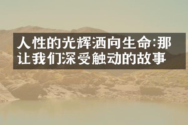 人性的光辉洒向生命:那些让我们深受触动的故事