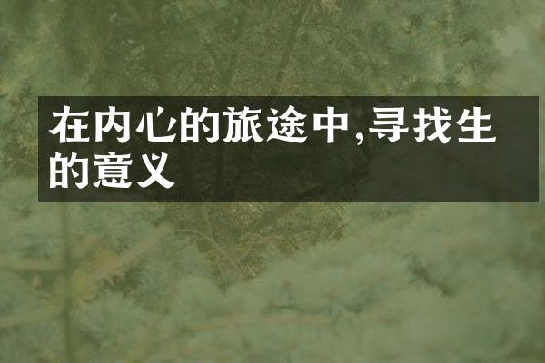 在内心的旅途中,寻找生命的意义