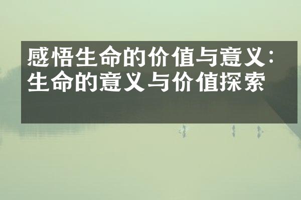 感悟生命的价值与意义:《生命的意义与价值探索》