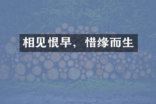 相见恨早，惜缘而生