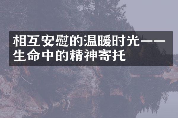 相互安慰的温暖时光——生命中的精神寄托