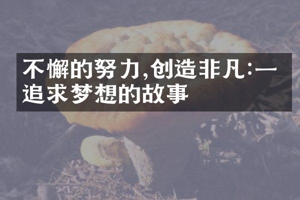 不懈的努力,创造非凡:一个追求梦想的故事