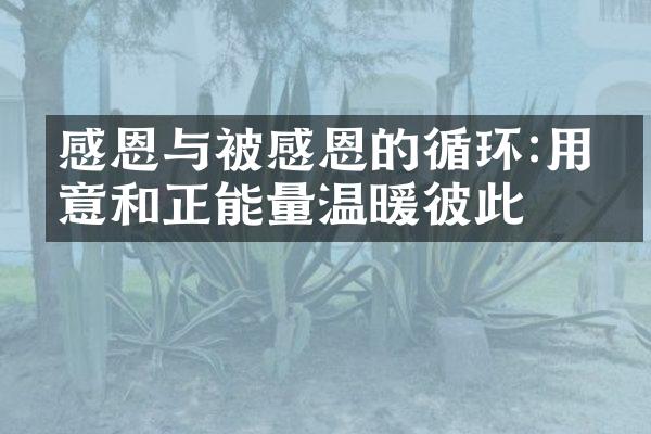 感恩与被感恩的循环:用善意和正能量温暖彼此