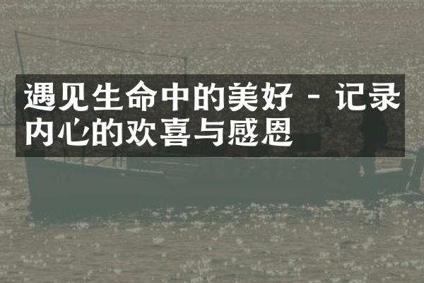 遇见生命中的美好 - 记录内心的欢喜与感恩