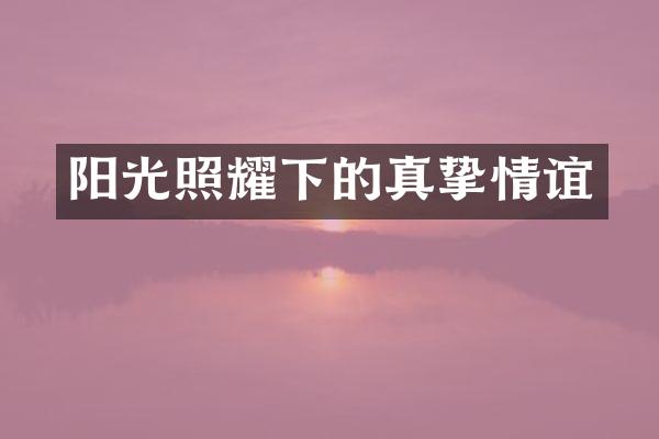 阳光照耀下的真挚情谊