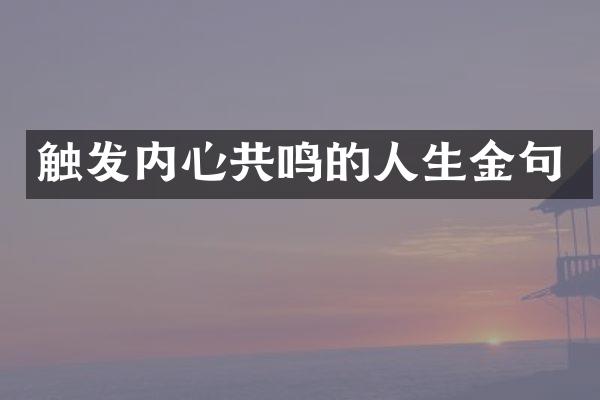 触发内心共鸣的人生金句