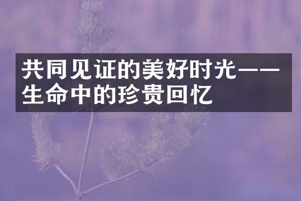 共同见证的美好时光——生命中的珍贵回忆