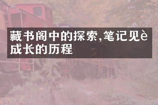 藏书阁中的探索,笔记见证成长的