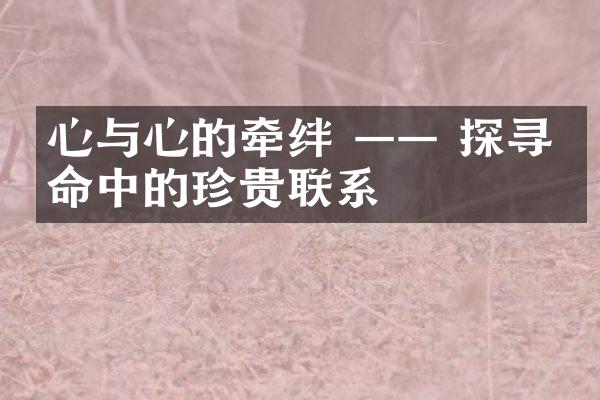 心与心的牵绊 —— 探寻生命中的珍贵联系